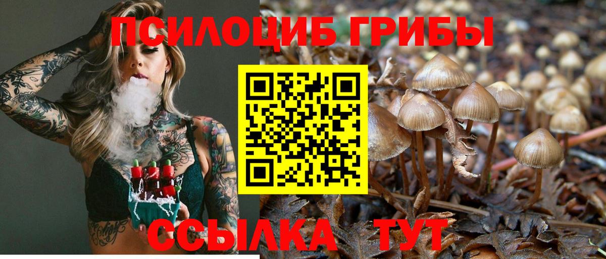 Галлюциногенные грибы Psilocybine cubensis  Вход с VPN  Ижевск  Галлюциногенные грибы мухоморы 